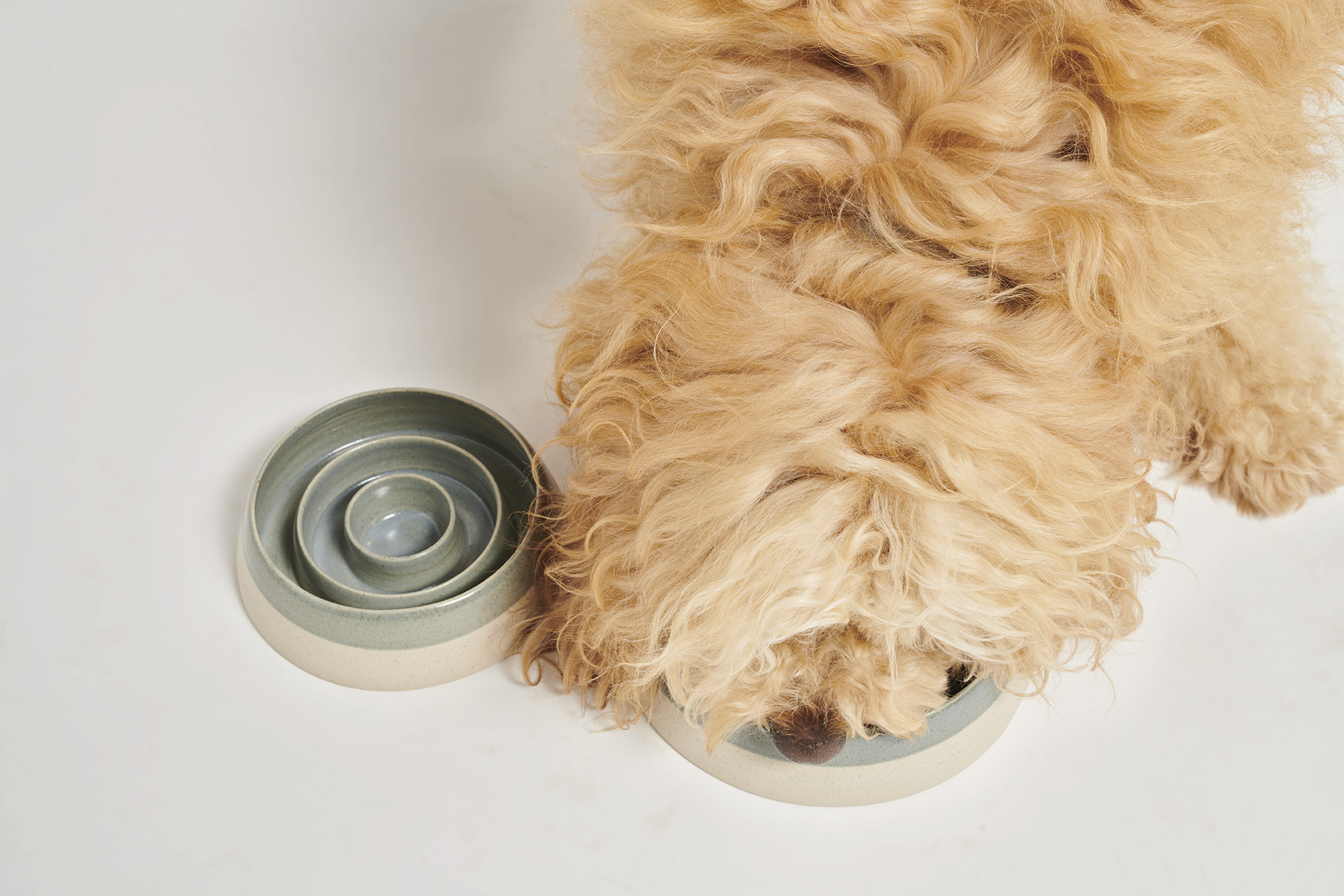 2021-09-07 Pawness_14_548